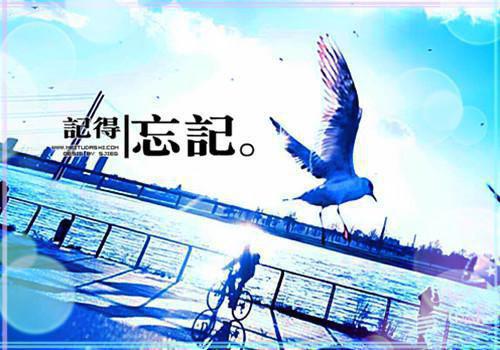 统计专业毕业生求职信范本