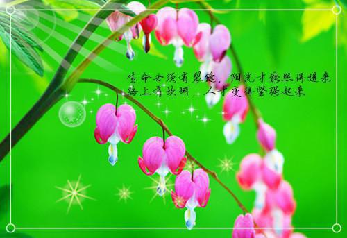 全乡蔬菜生产工作报告范文