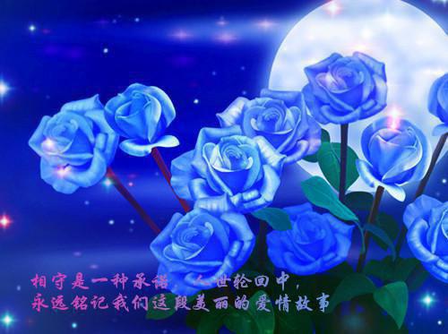 关于中职求职信范文集锦八篇