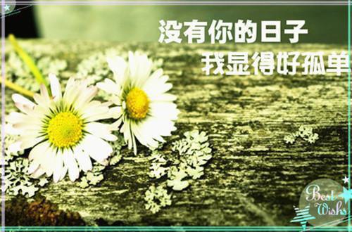关于为人处世的名言名句
