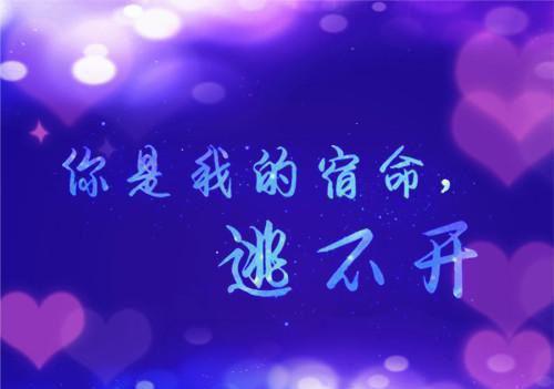展望未来的诗句——《别董大》