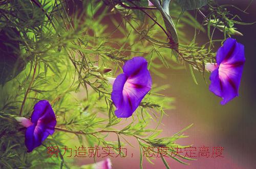 伤感个性签名男生心累大全 我很想你毋庸置疑无能为力