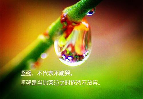 中专学生求职信范文汇编7篇