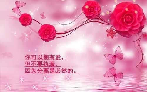 关于做好县域经济发展情况工作报告范文