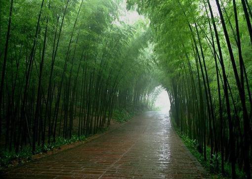 物流求职信范文