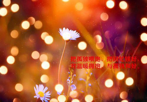关于计算机专业自荐信集合三篇