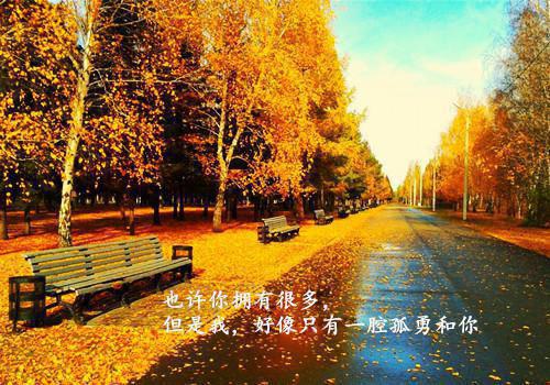 银行实习生证明模板