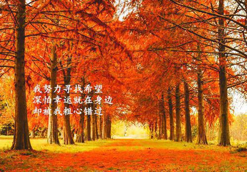 工作自荐信范文三篇