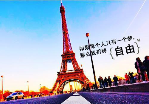 开展党政机关停止新建楼堂馆所和清理办公用房自查报告
