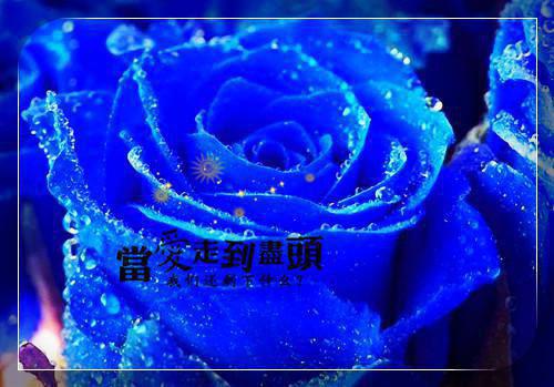 公司连锁机构见习主任工作报告