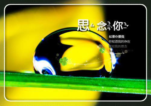 【精华】毕业生求职信范文集合五篇