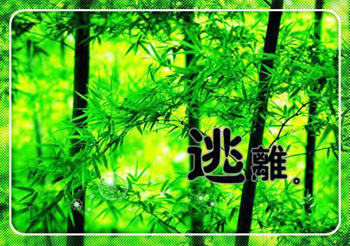 档案工作自查报告范文2023