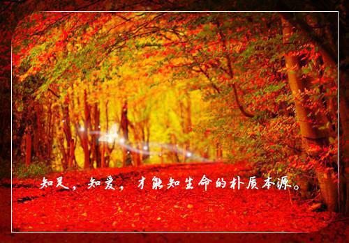 银行服务收费自查报告