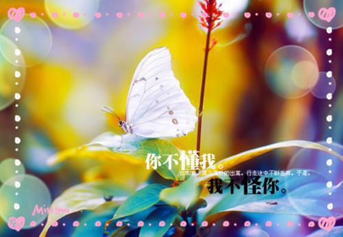 快手个性签名大全张粉伤感的2023 那些说到心坎的伤感签名