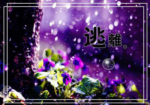 授权的委托书范本