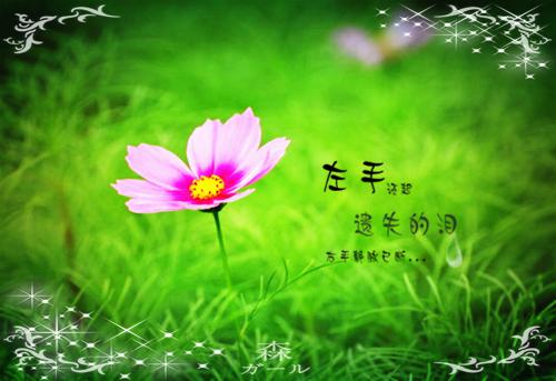 关于个人的工作报告