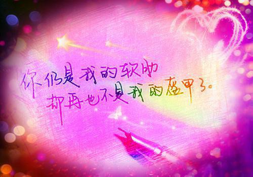 实用的会计专业求职信范文七篇