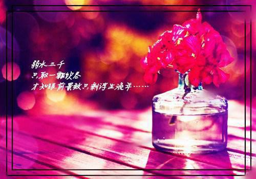 学校行风自查自纠报告