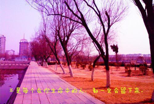 税务局2023年度工作报告