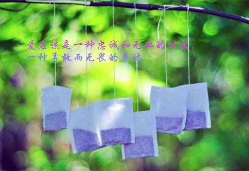 小学行风评议工作总结报告