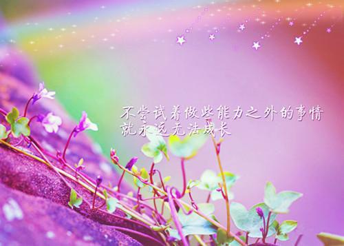 关于美好爱情的句子有哪些