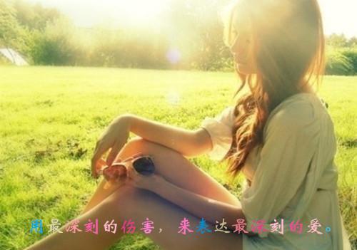 十二生肖之求职信