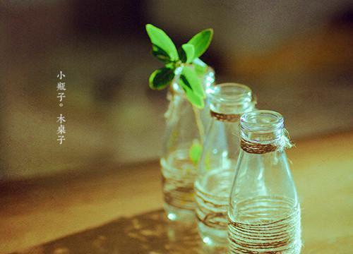 （温之霆姜夕瑶）姜夕瑶温之霆最终篇章章节在线无广告高口碑小说