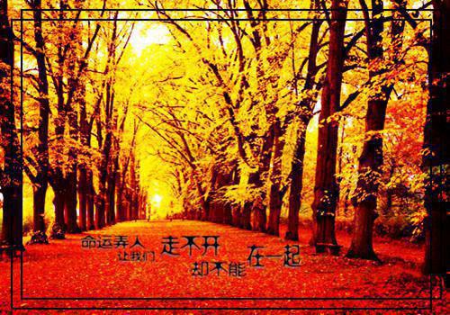 精选学生求职信范文汇总7篇
