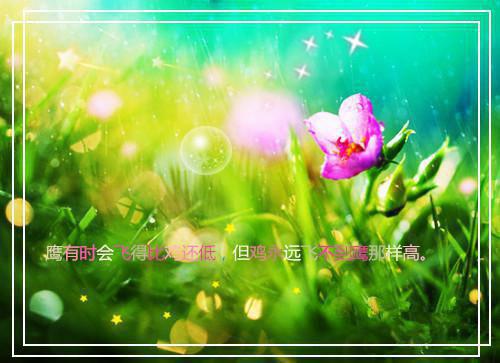 来自部队的感谢信