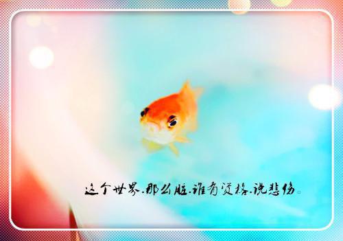 会计毕业生个人自荐信范文