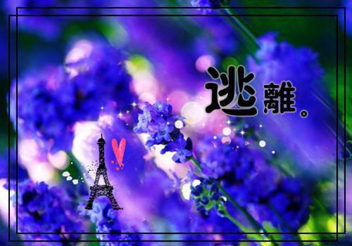 2023自动化专业的实习报告