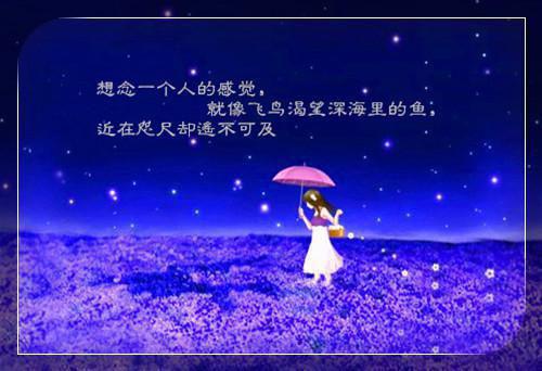 最新重庆大学自主招生自荐信
