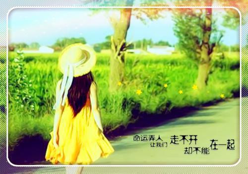 2023年三下乡主题活动策划
