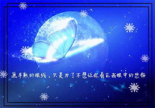 年度管理工作报告