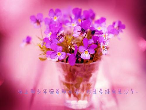 他死后前妻疯魔了顾煜迟林筱棠+后续+番外必读文-（他死后前妻疯魔了）顾煜迟林筱棠后续+番外精编之作笔趣阁