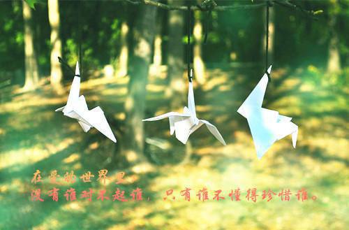 致小学生的慰问信
