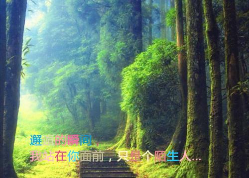 爱情离别赠言