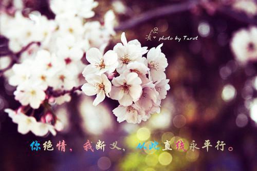 大学生感谢信