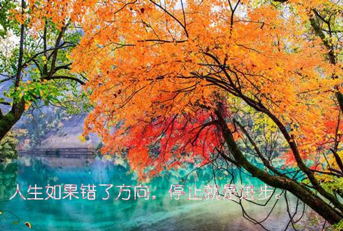 五水共治社会实践报告范文