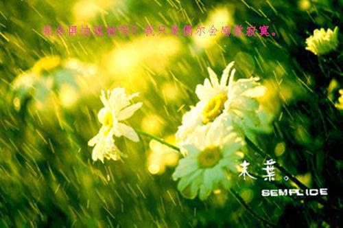 情人只是一个瞬间