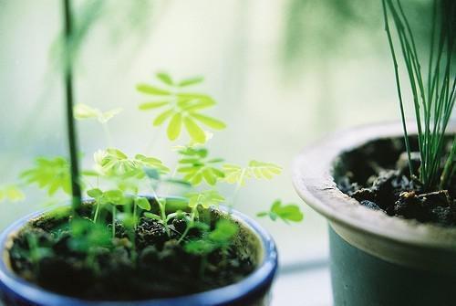 事业单位行政介绍信范文
