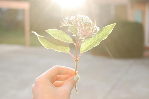 师德师风自查工作报告范文