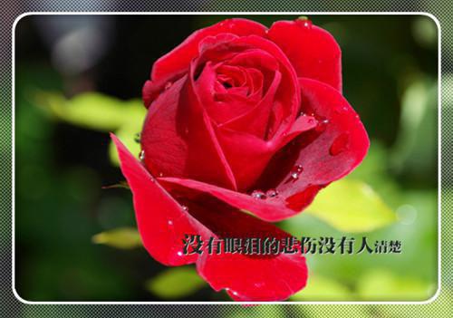 全县果业节能工作报告范文