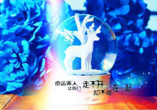 有关文员求职信范文集锦5篇