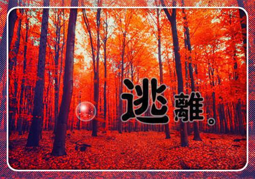 自荐信范文集锦