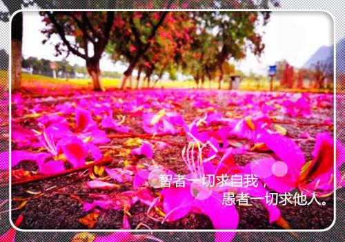 学术会议邀请函范本