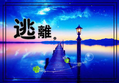 会计电算化专业大学生社会实践报告