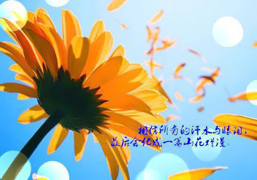 感谢老师感谢信三篇