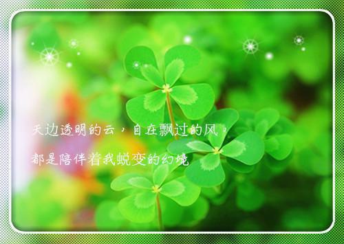 三八慰问信