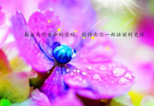 亮出您的自荐信